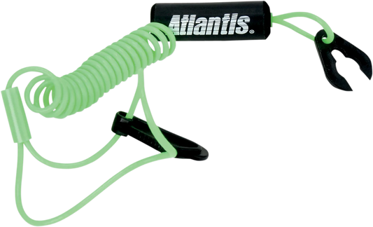 Lanyard