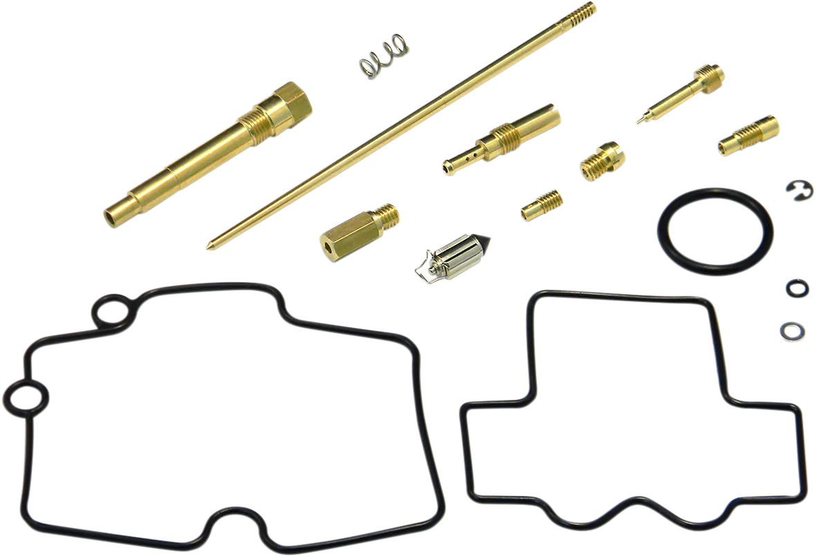 Carburetor Repair Kit