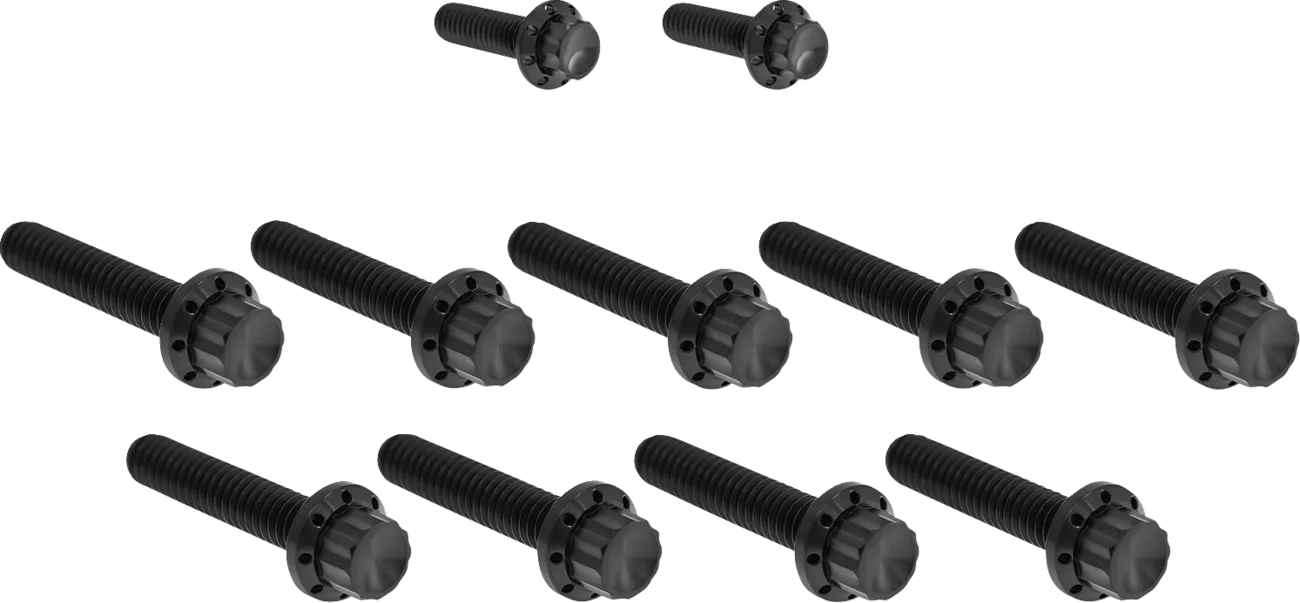 Cam Cover/Point Cover Titanium 12-Point Bolt Kit