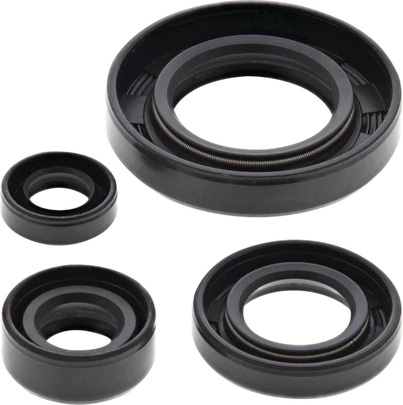 Engine Oil Seal Kit