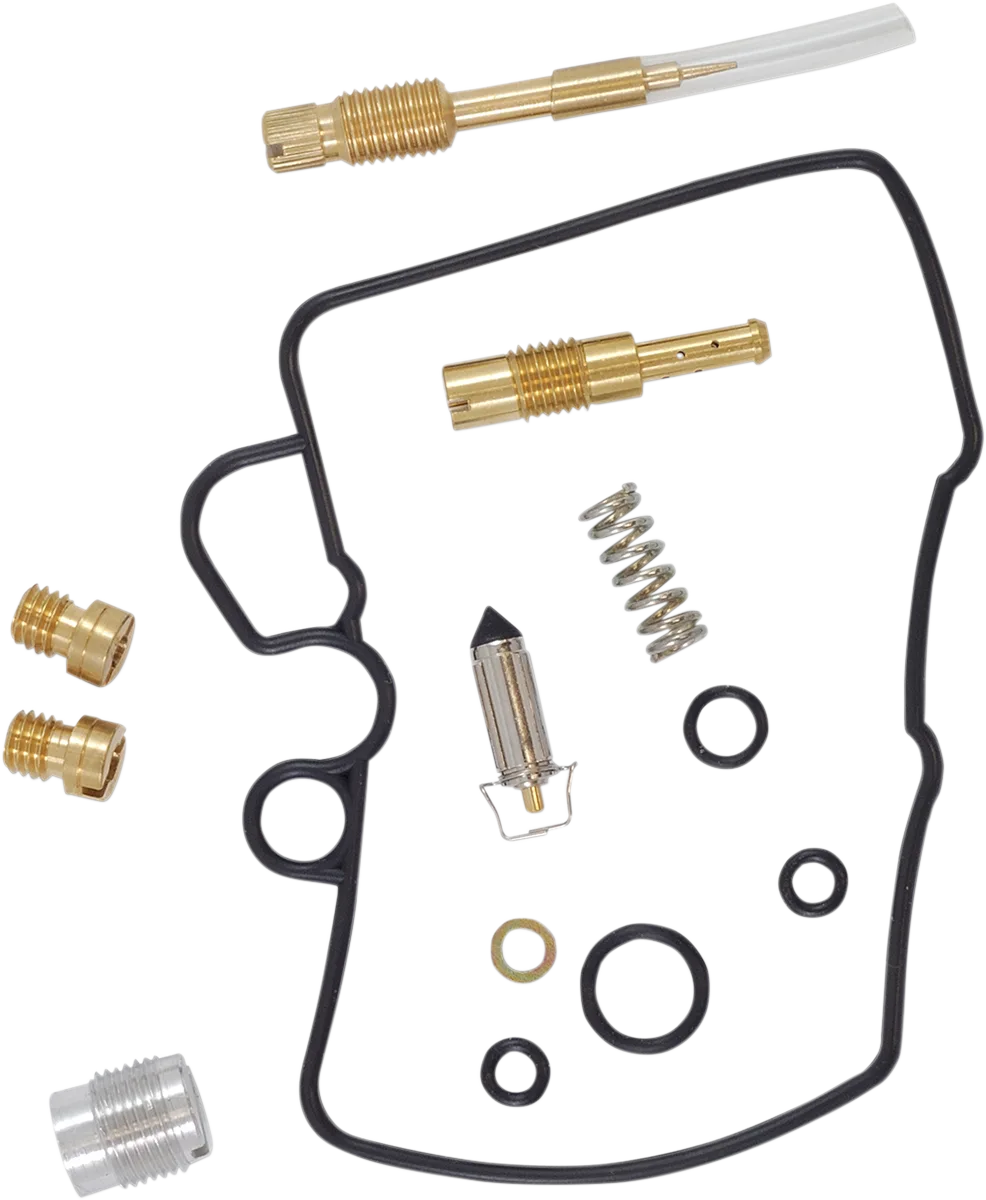 Carburetor Repair Kit