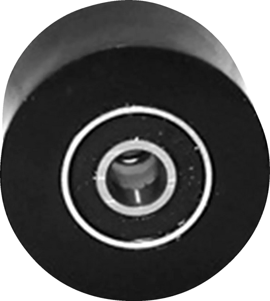 Chain Roller