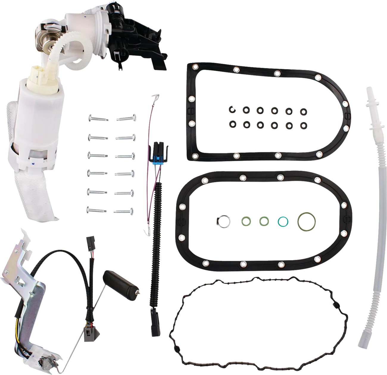 Fuel Pump Module Assembly