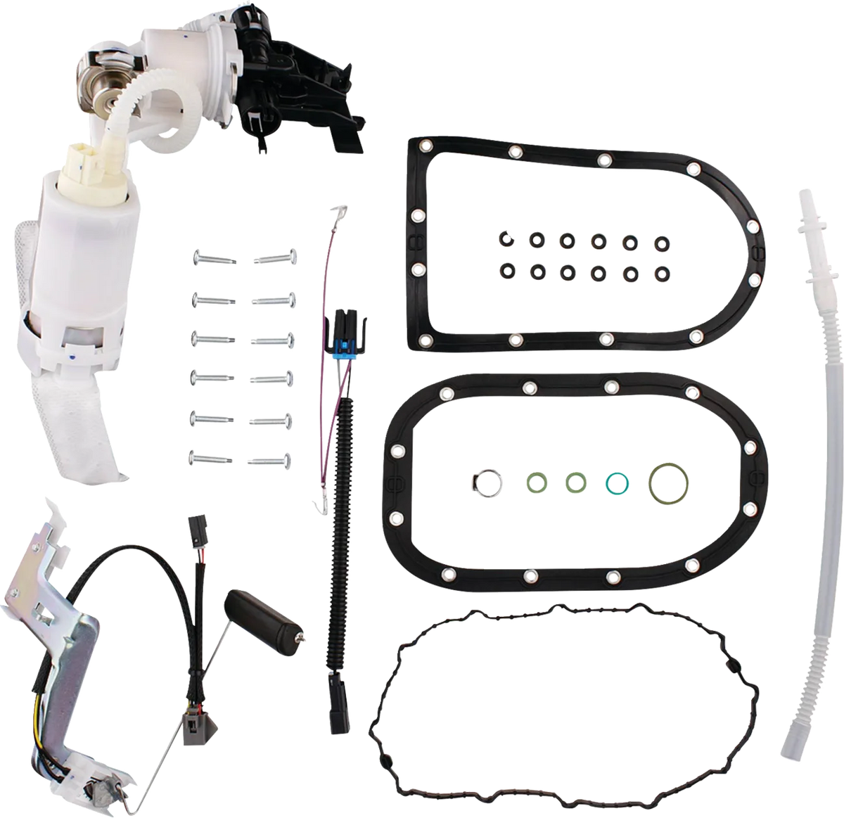 Fuel Pump Module Assembly