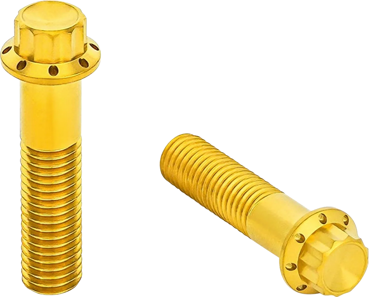 Radial Caliper Bolt Kit