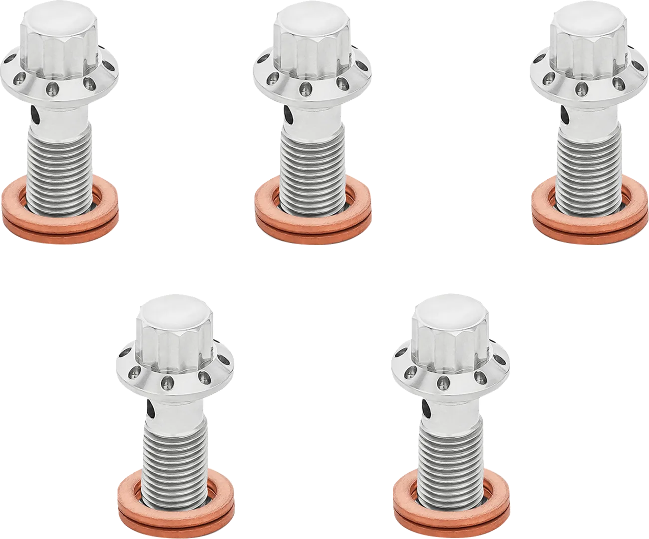 12-Point Titanium Banjo Bolts