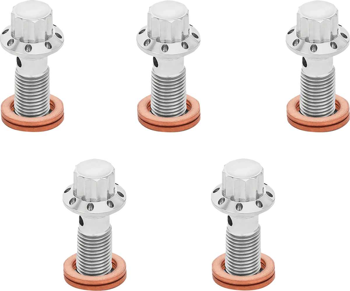 12-Point Titanium Banjo Bolts