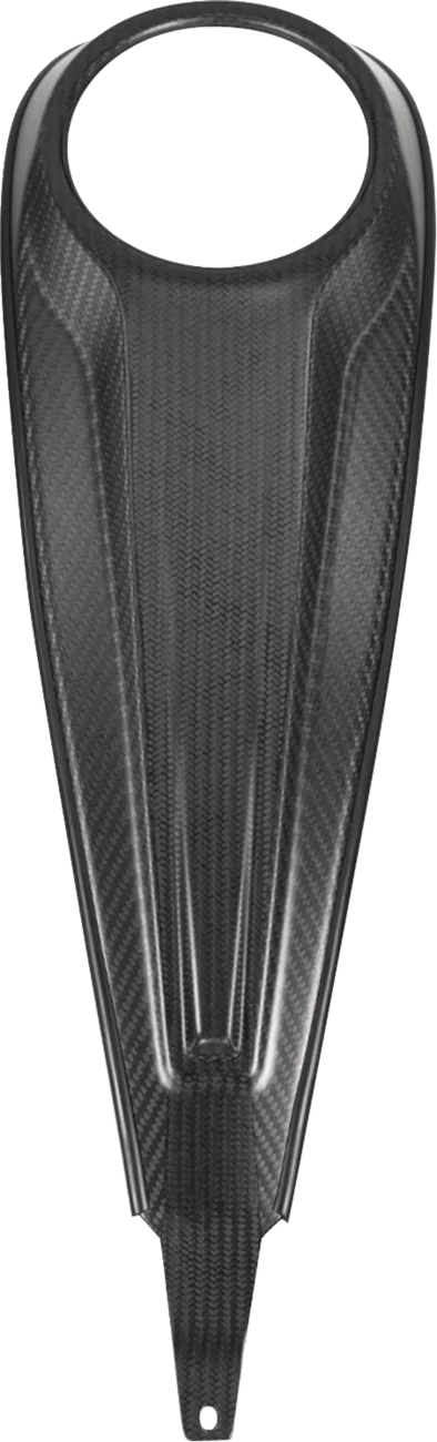 Carbon Fiber Dash Panel For Touring Models