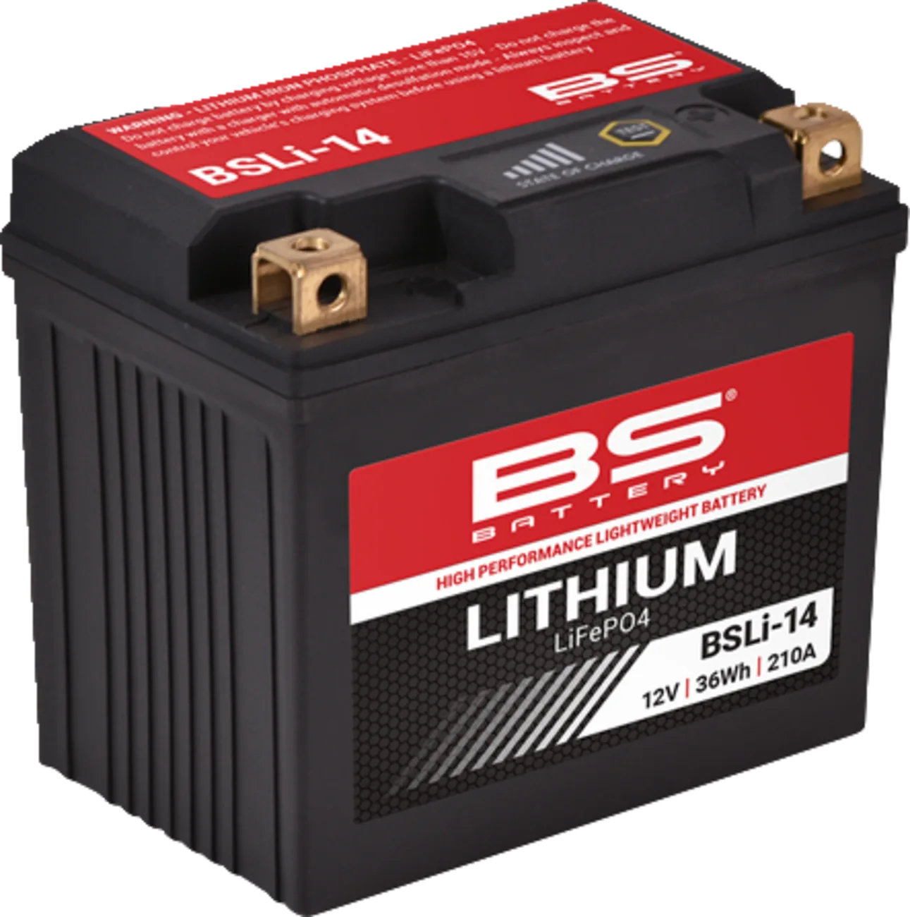 Lithium LiFePO4 Battery