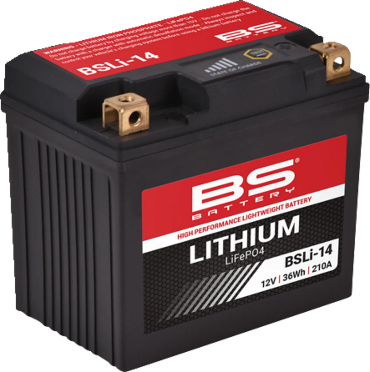 Lithium LiFePO4 Battery