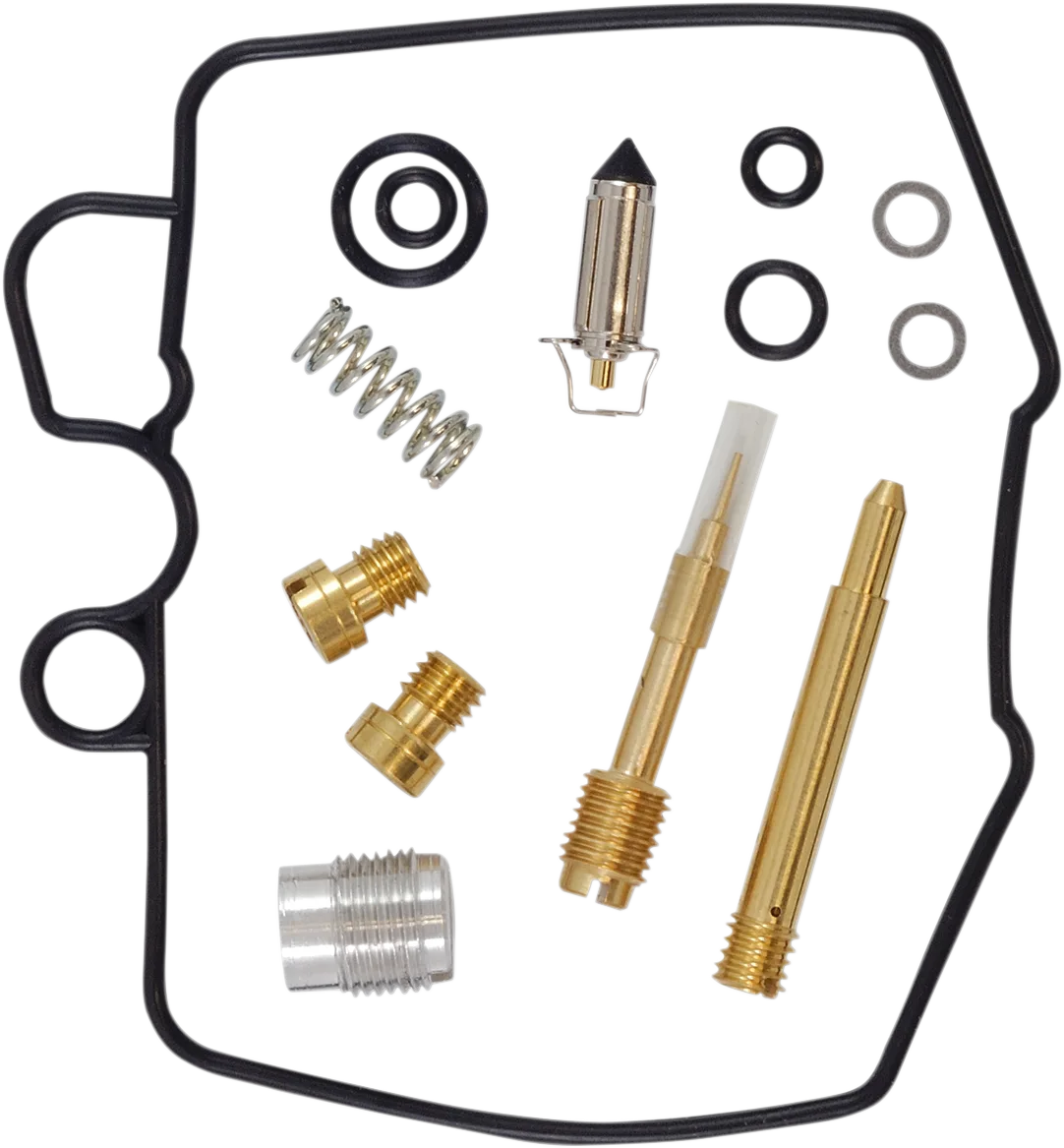Carburetor Repair Kit