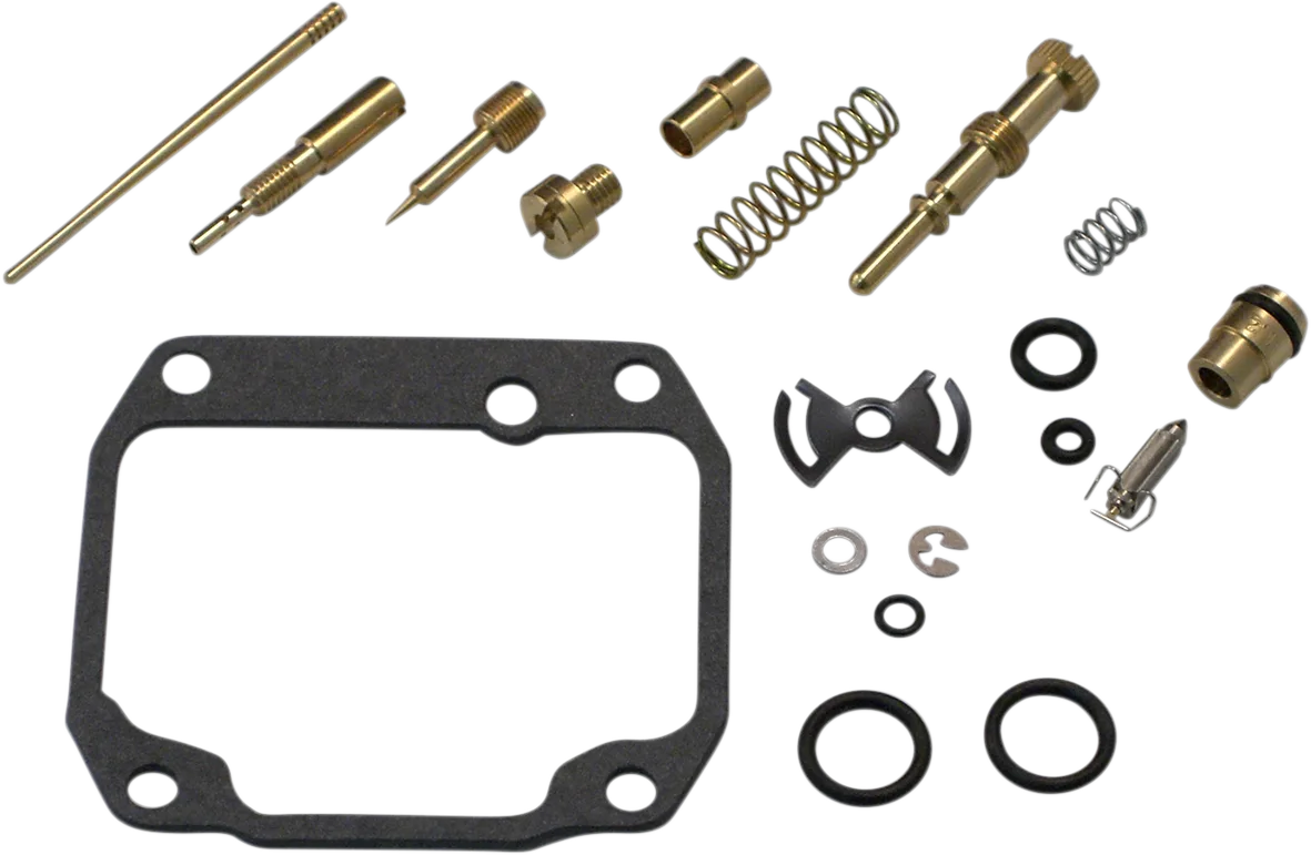 Carburetor Repair Kit