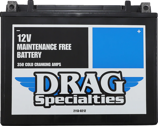 AGM Maintenance-Free Battery