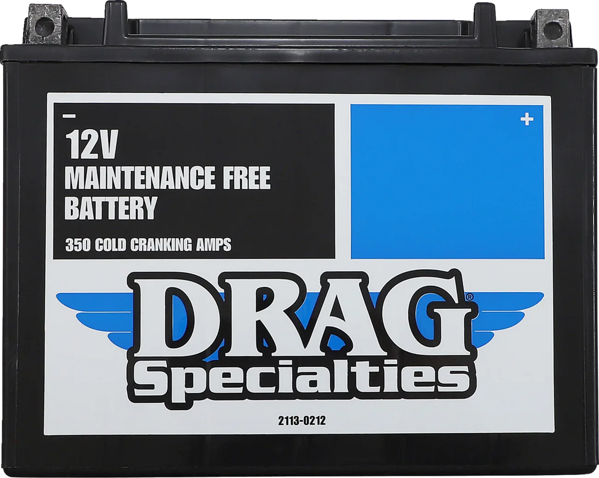 AGM Maintenance-Free Battery