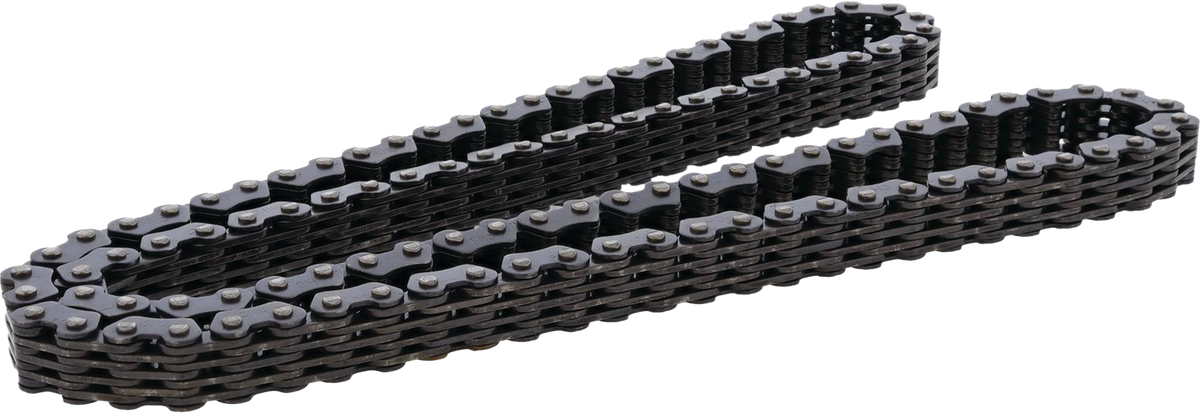 Cam Chain