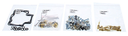 Carburetor Rebuild Kit