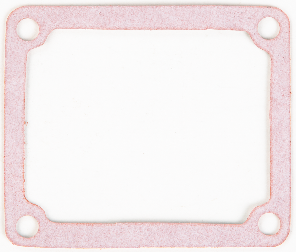Rad Valve Gasket