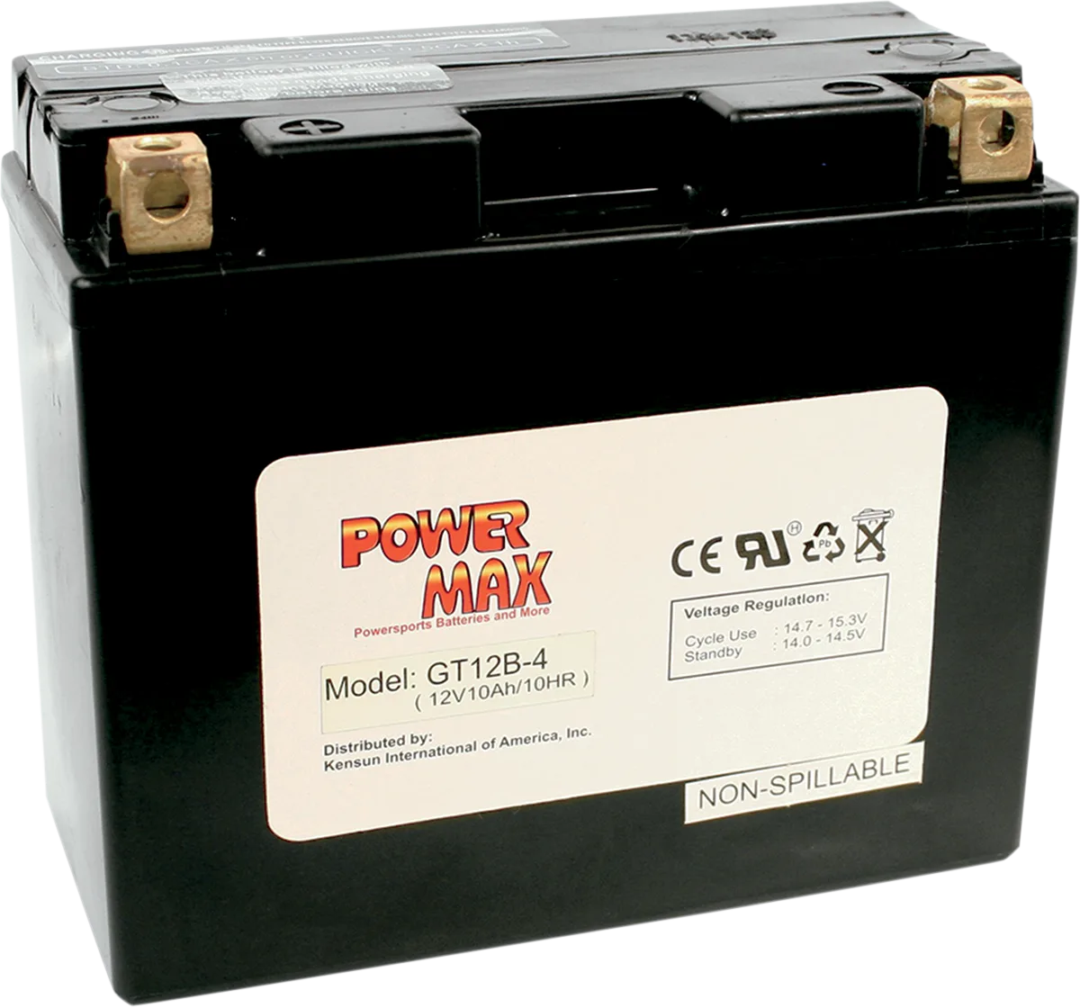 Maintenance-Free Battery