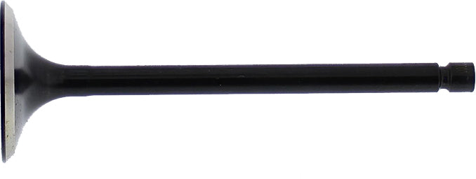 Exhaust Valve
