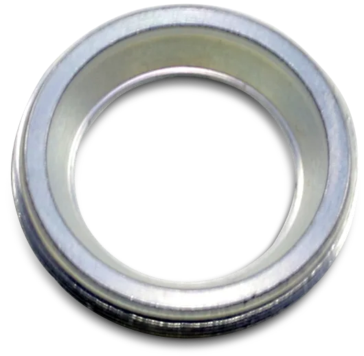 Swingarm Bearing Nuts