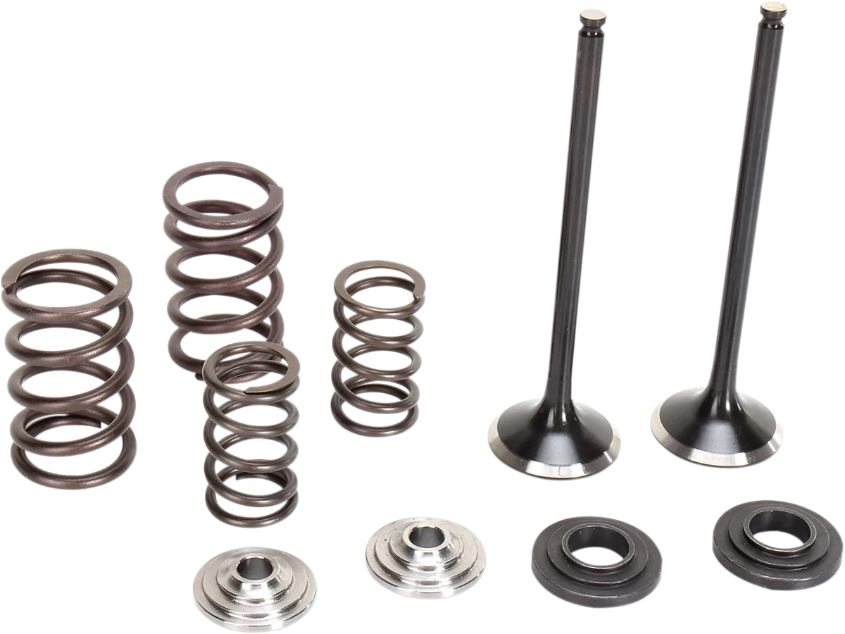 Exhaust Valve and Spring Kit