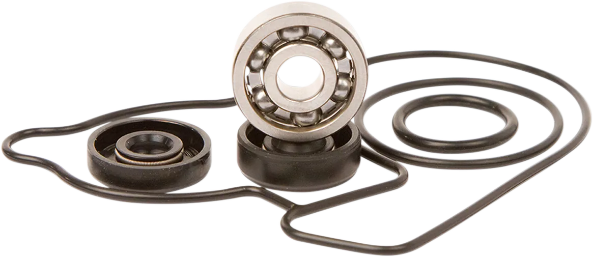 Water Pump Repair Kit