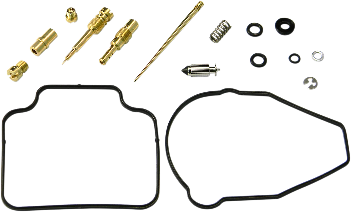 Carburetor Repair Kit