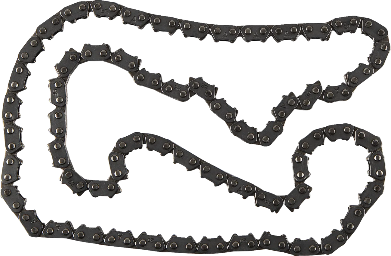 Cam Chain