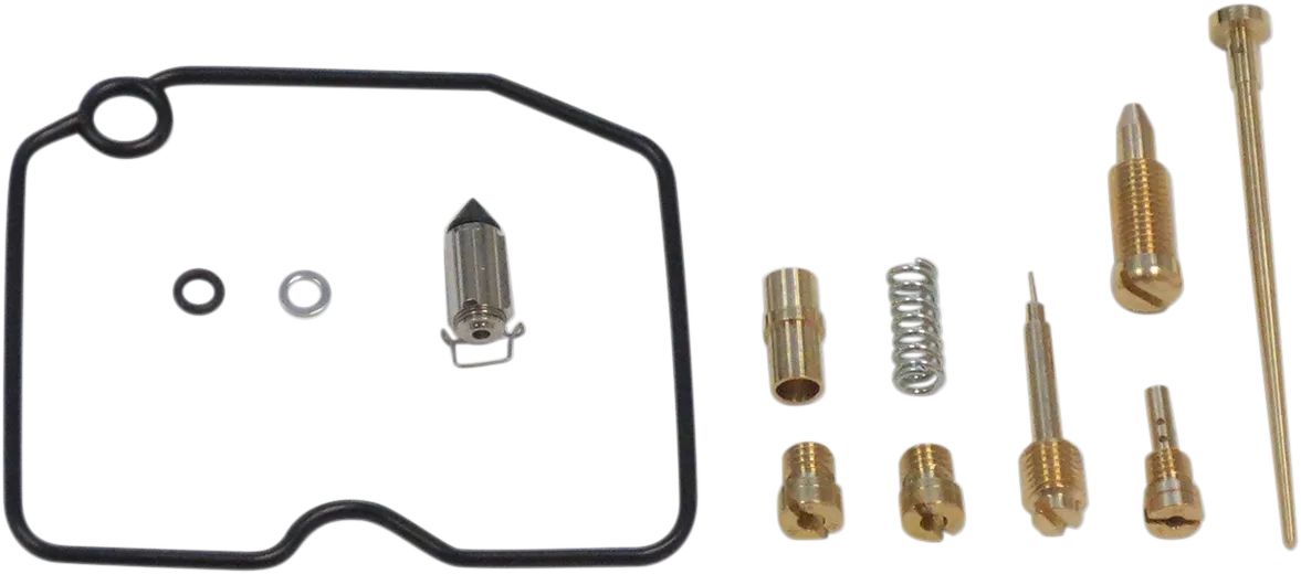 Carburetor Repair Kit