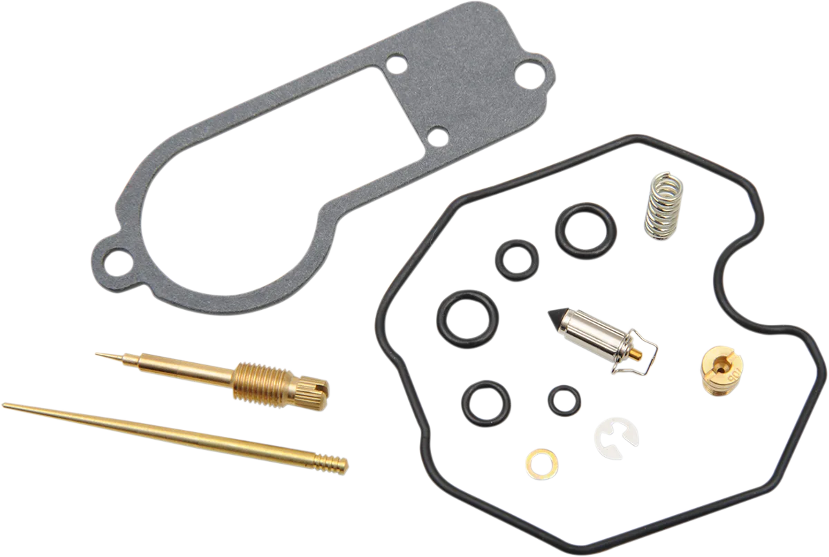 Carburetor Repair Kit