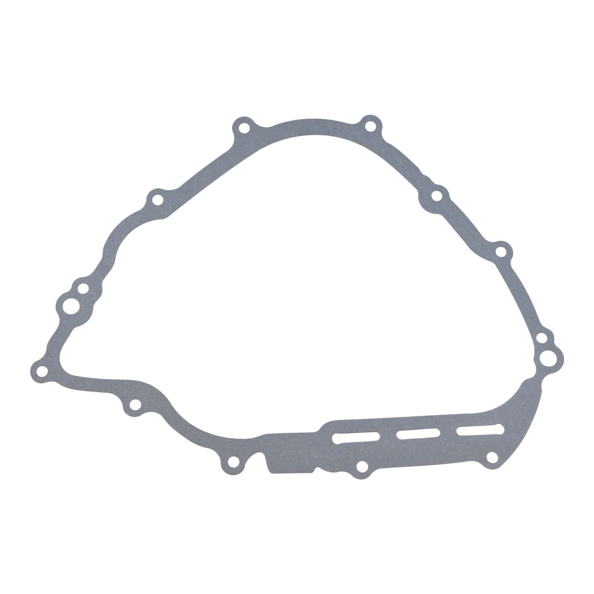 Stator Crankcase Cover
