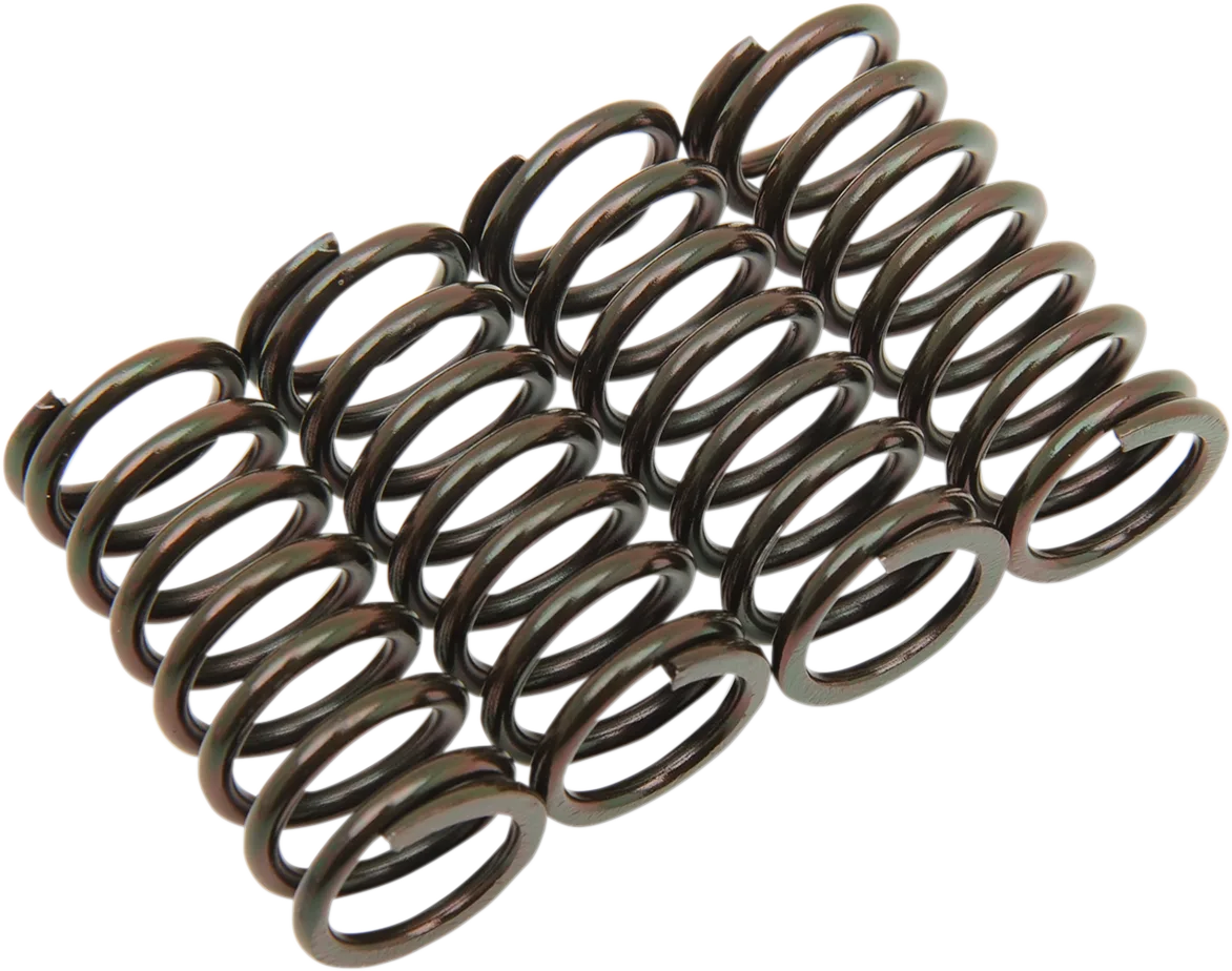 Clutch Spring Kit