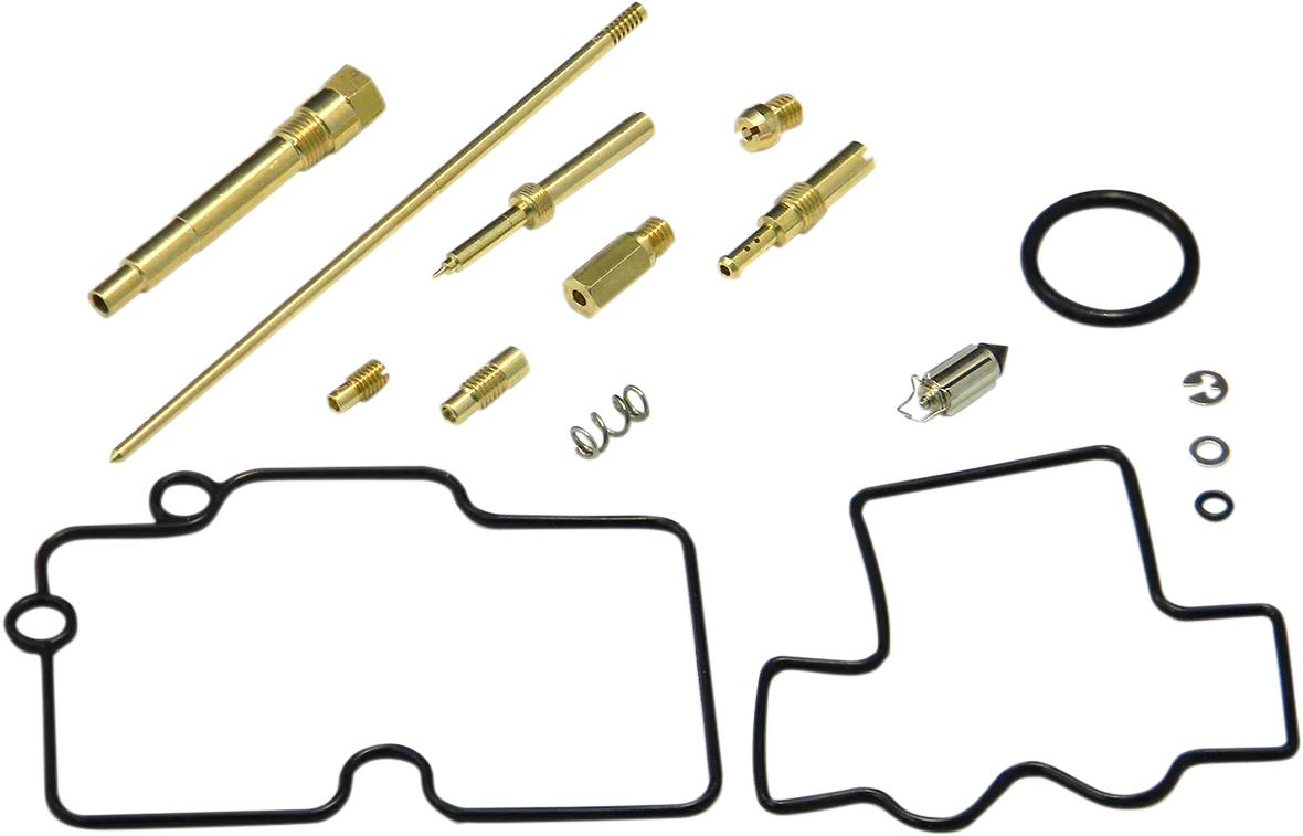 Carburetor Repair Kit