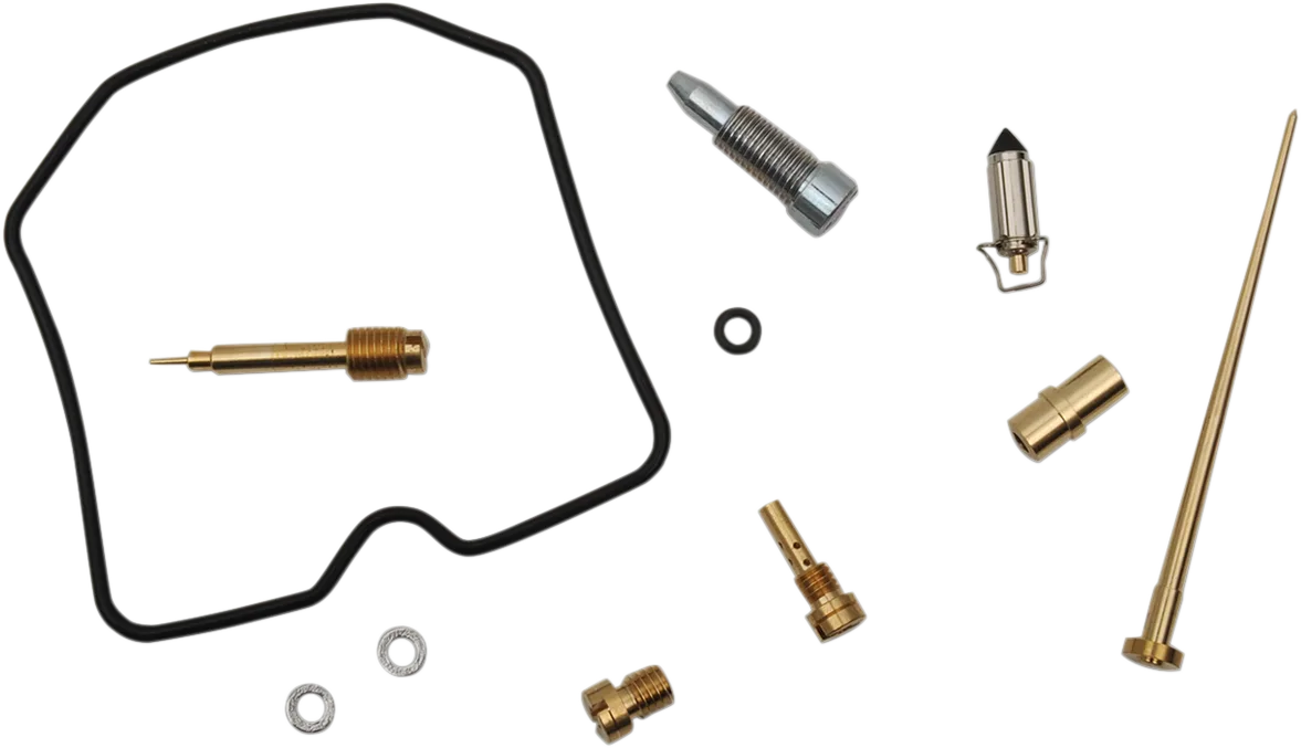 Carburetor Repair Kit