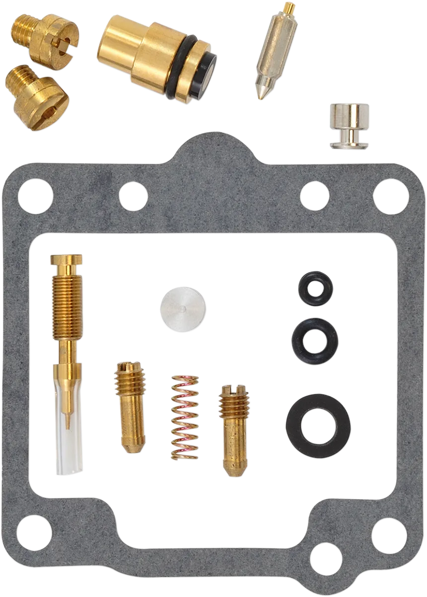 Carburetor Repair Kit