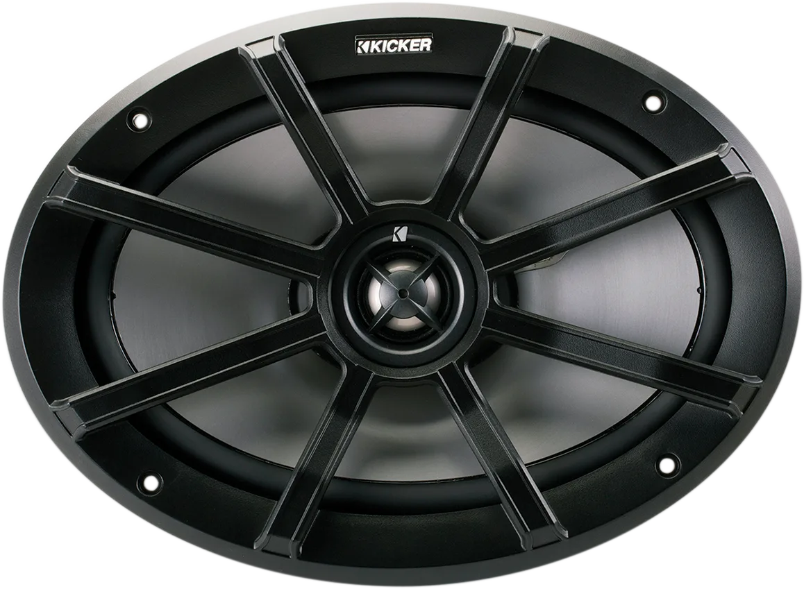 PS Coaxial Speaker