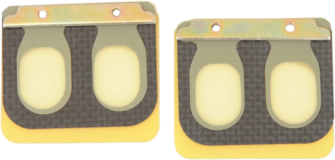 Replacement Pro Series Reed Set for RAD Valve
