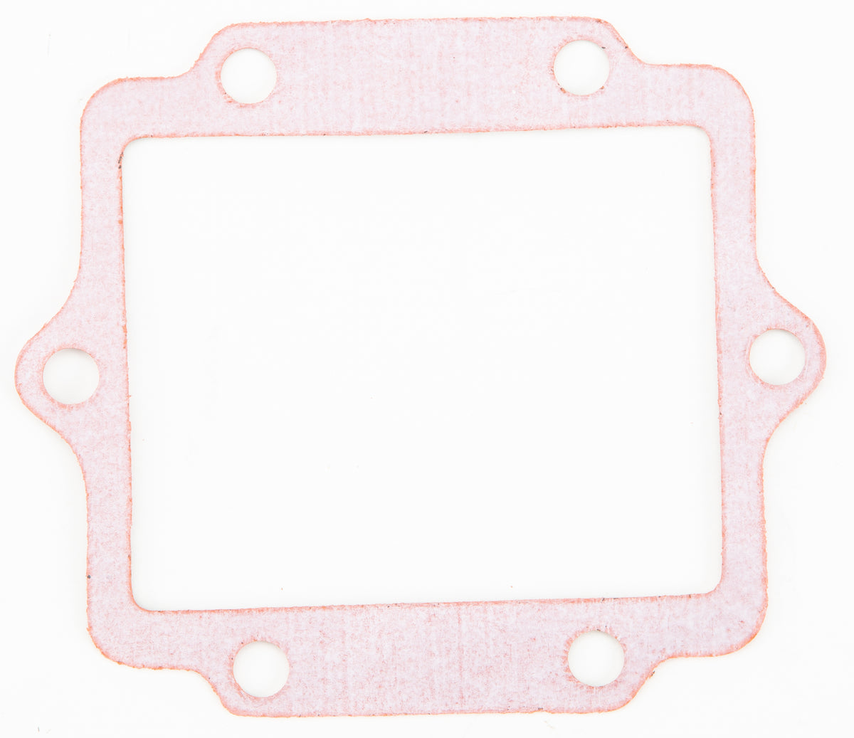 Rad Valve Gasket