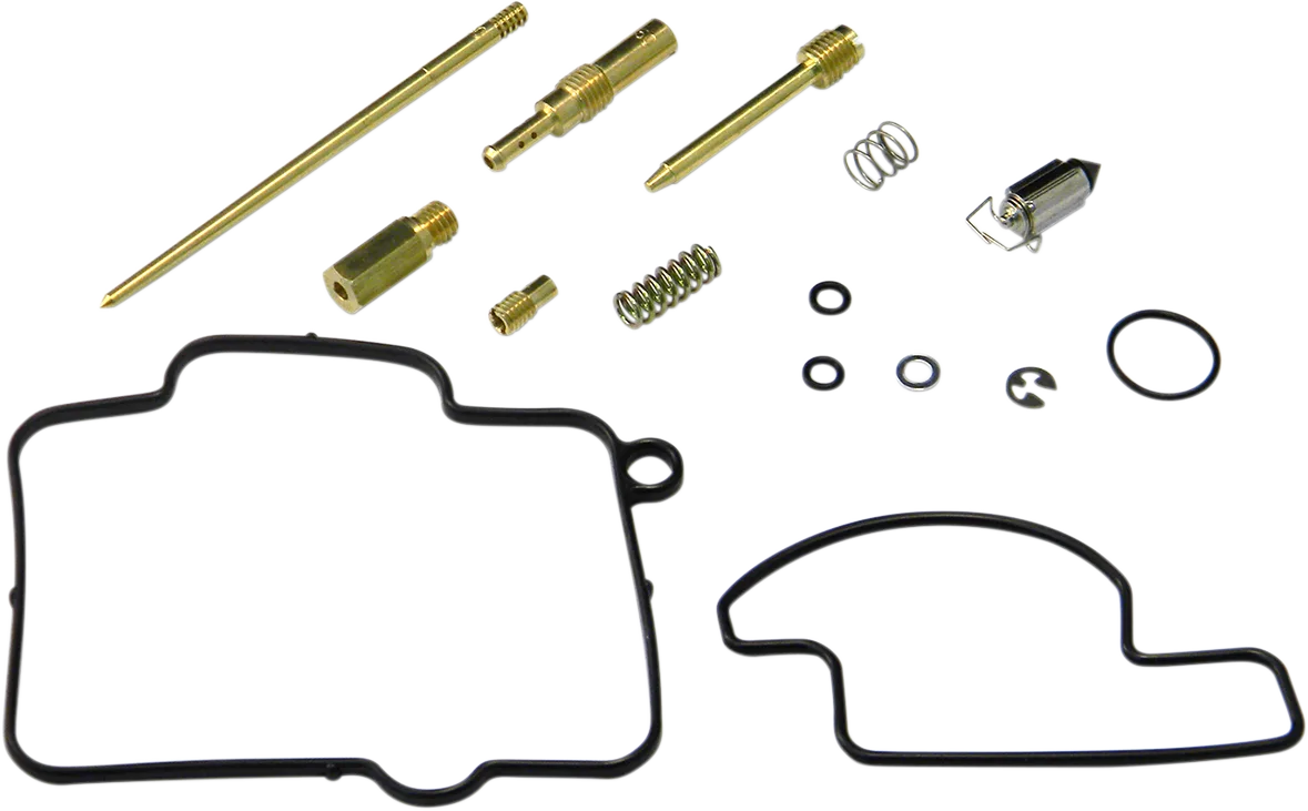 Carburetor Repair Kit