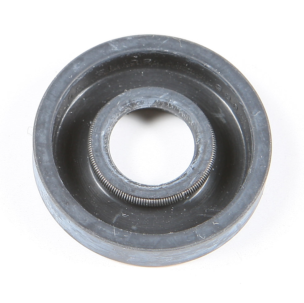 Oil Seal