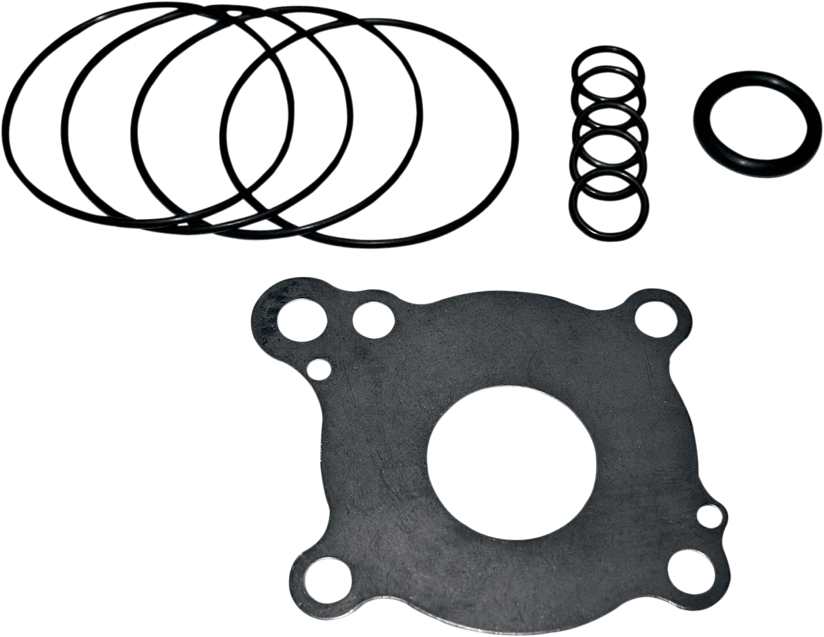 Oil Pump Rebuild Kit
