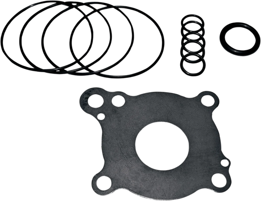 Oil Pump Rebuild Kit