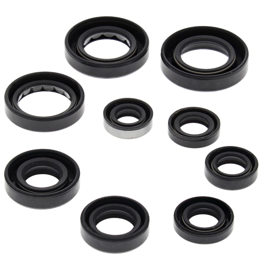 Oil Seal Set
