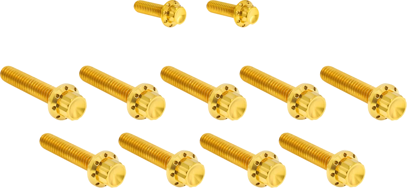 Cam Cover/Point Cover Titanium 12-Point Bolt Kit