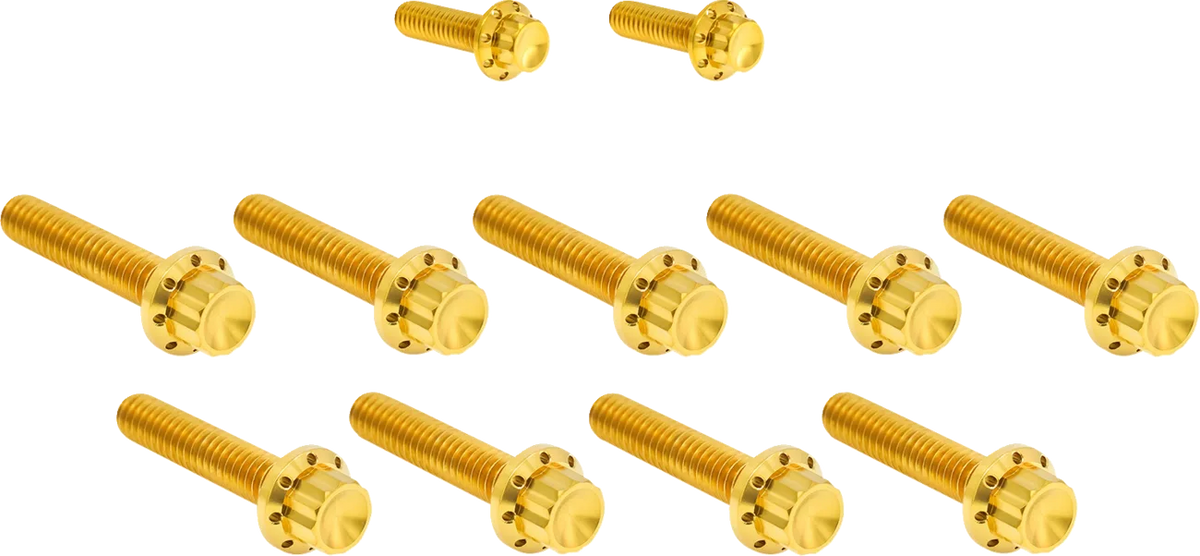 Cam Cover/Point Cover Titanium 12-Point Bolt Kit