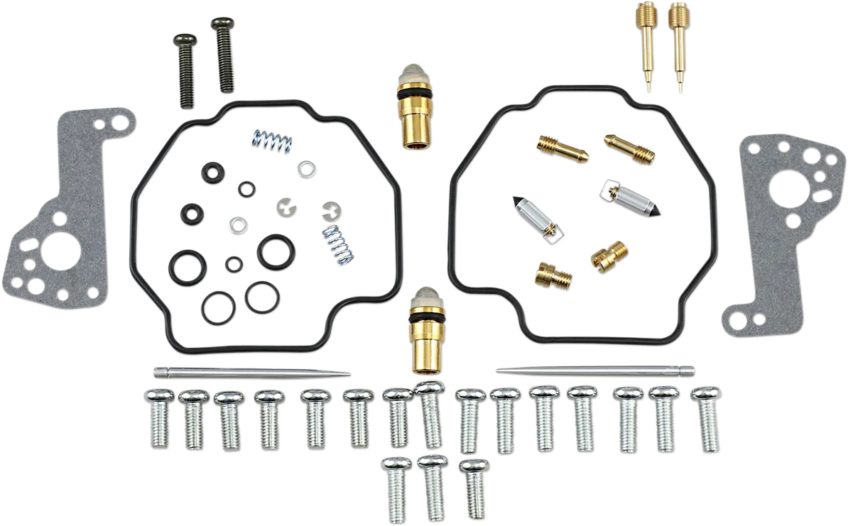 Carburetor Repair Kit