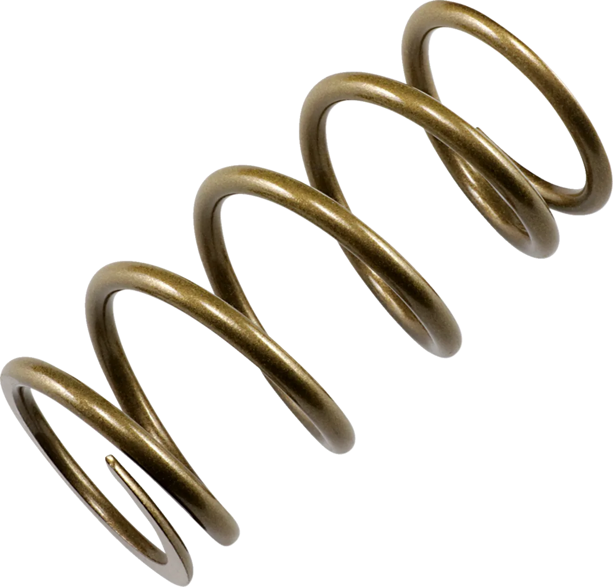 Primary Clutch Spring