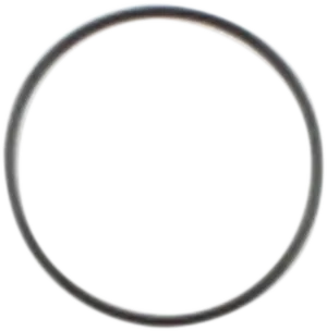 Starter O-Ring
