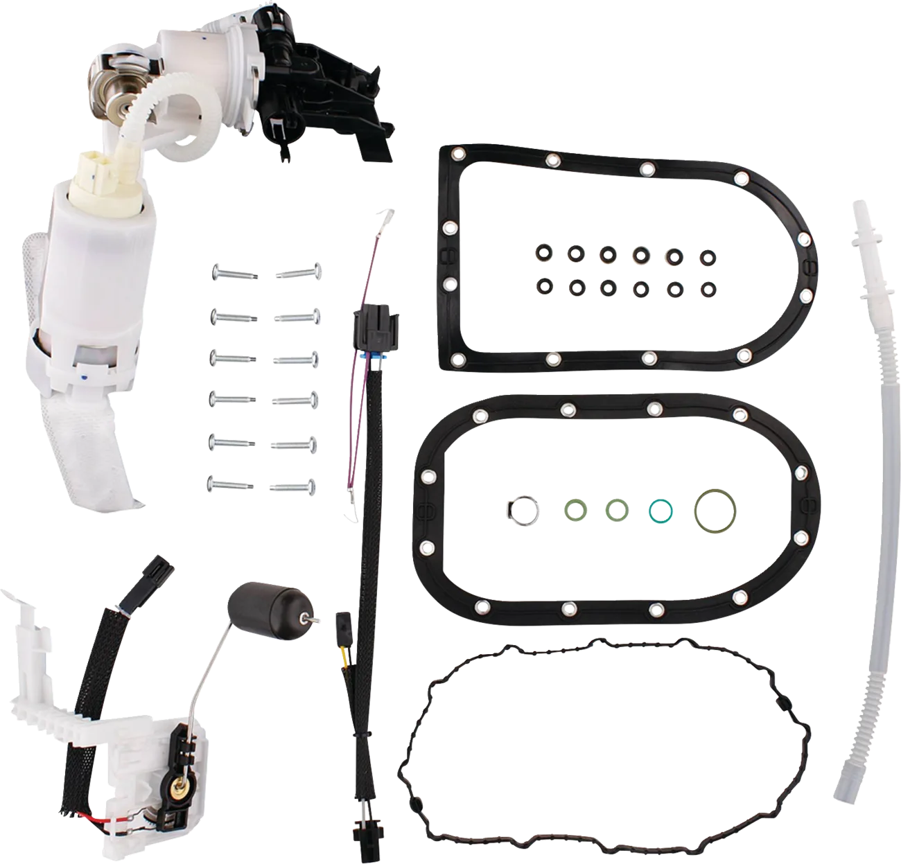 Fuel Pump Module Assembly