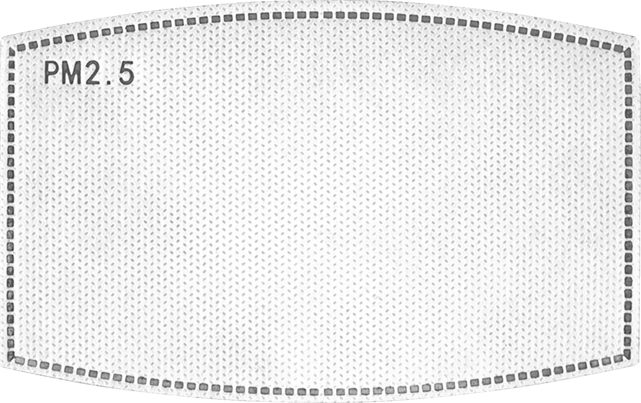 Replacement PM 2.5 Filter